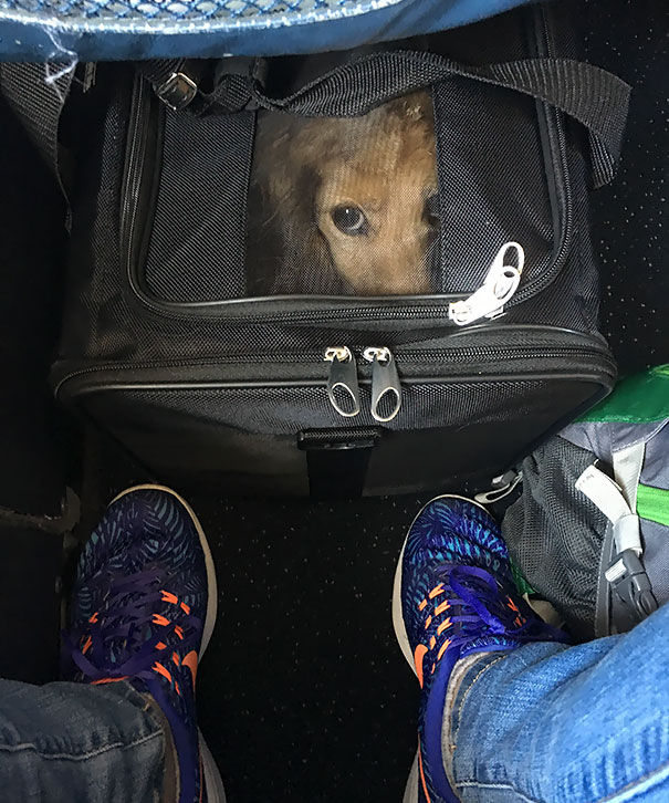 Willie's First Plane Ride Was Traumatic For The Both Of Us