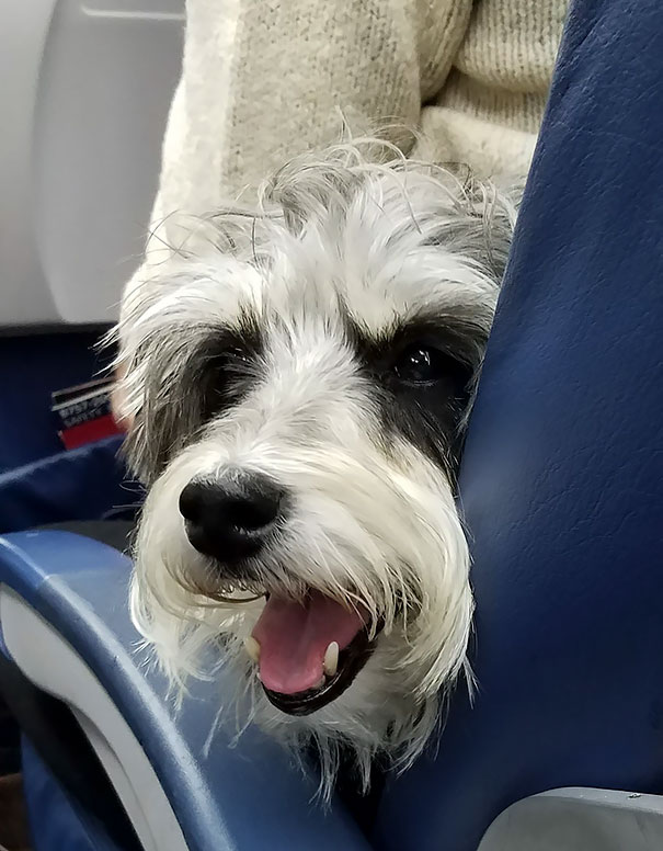 Sitting Next To The Best Passenger Ever