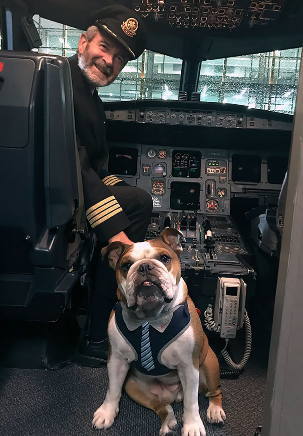 Bentley Got To Meet The Captain After Our Flight Home Last Night