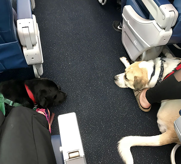 My Boy Made A Friend On The Flight