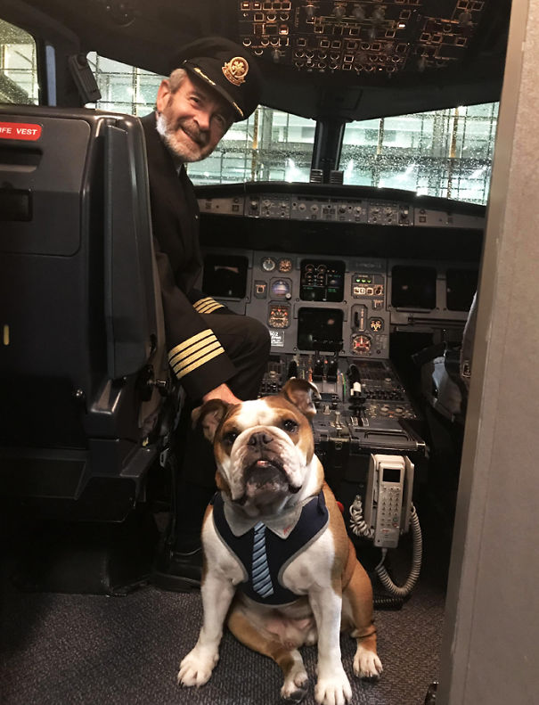 Bentley Got To Meet The Captain After Our Flight Home Last Night!