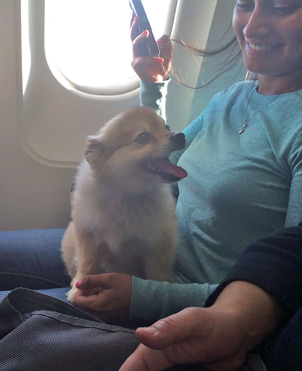 Such A Sweetie The Whole Flight