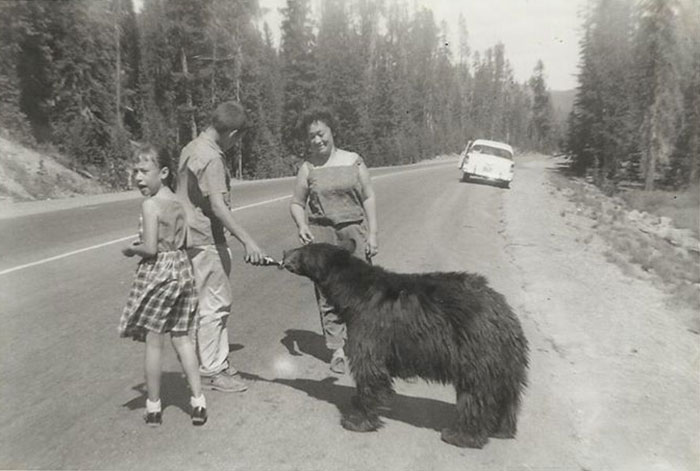 My Dad Giving A Thirsty Bear Some Soda Sometime In The 50's