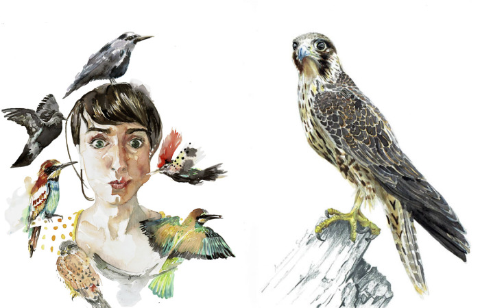 My Watercolour Birds