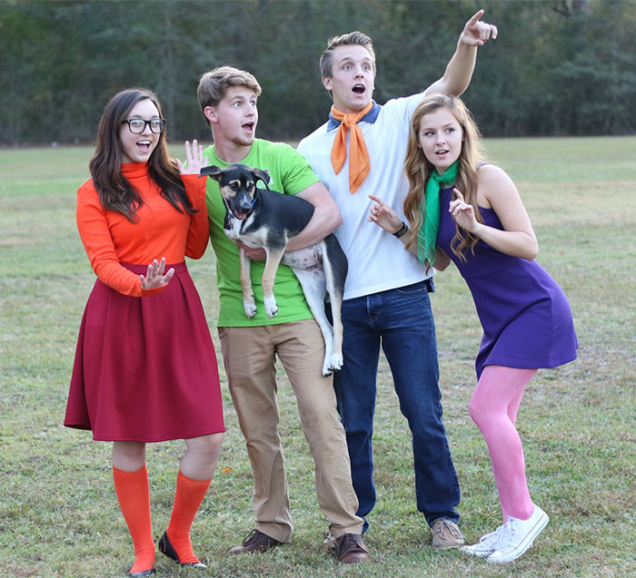How Was Our Attempt As Mystery Inc.?