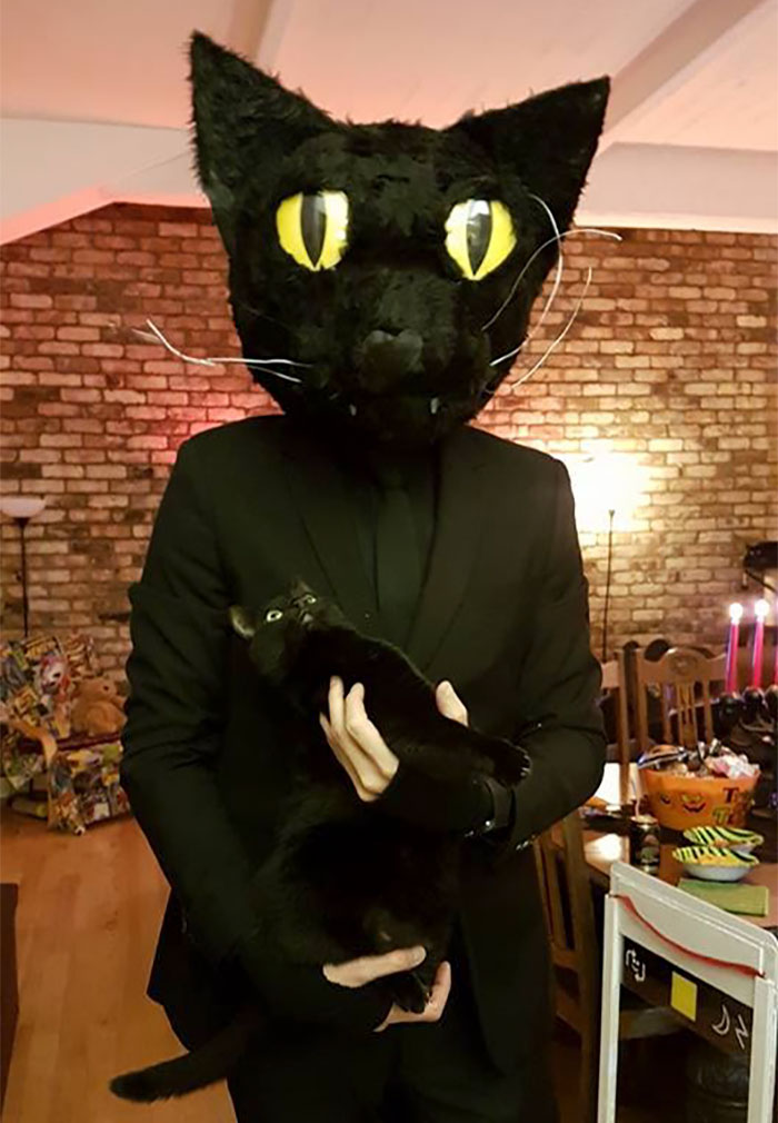 Se disfrazó de su gato en Halloween, al gato no le hizo gracia