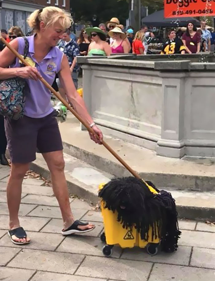 Woman Dresses Her Dog As A Mop, And It’s Probably The Best Pet Costume We’ve Ever Seen