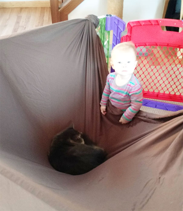 Cat Wrecks Baby's Fort. No Remorse
