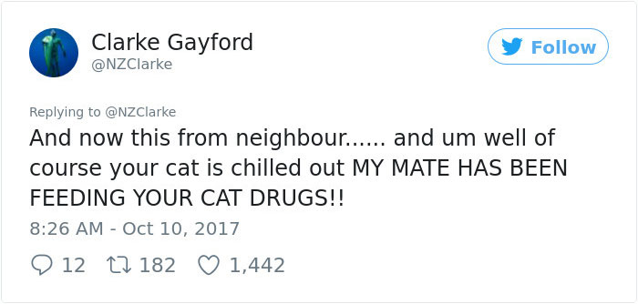 Man Accidentally Kidnaps Neighbour's Cat Thinking It Was His, And It Escalates Hilariously