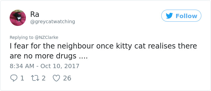 Man Accidentally Kidnaps Neighbour's Cat Thinking It Was His, And It Escalates Hilariously