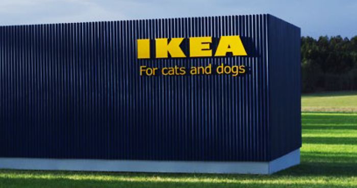 IKEA acaba de lançar Um animal de Estimação Coleção de Móveis Para os Cães E Gatos não Seria Deixado de Fora 27 abril 2024