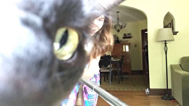 My Cat Ruining My Niece's Selfie...