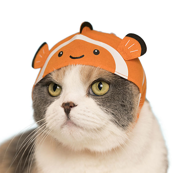 We Suggest Aquarium Animal Hats For Your Cat To Succeed At Halloween