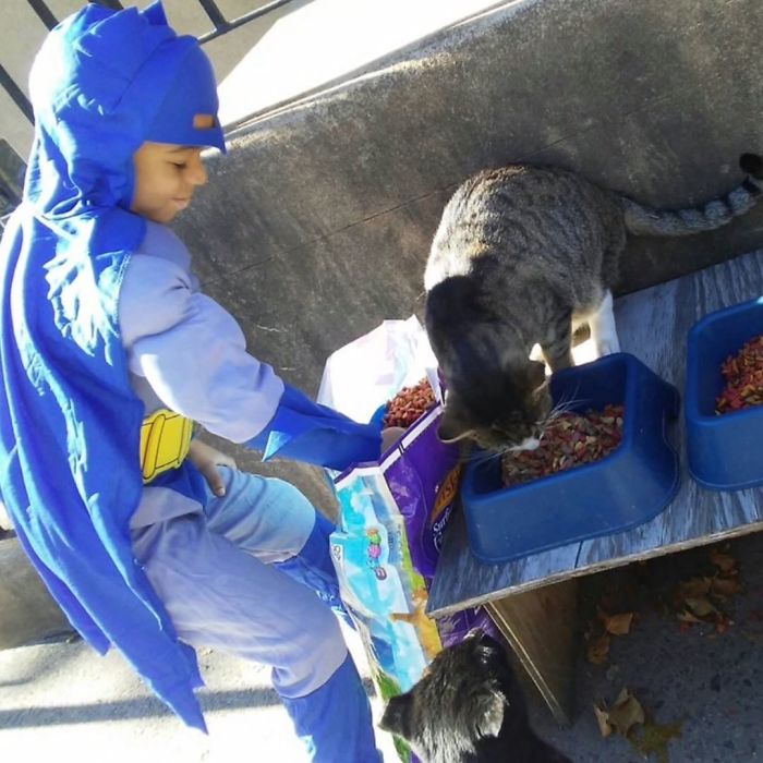 Este niño de 5 años se disfraza para ayudar a gatos sin hogar, porque cree que es un superhéroe para ellos