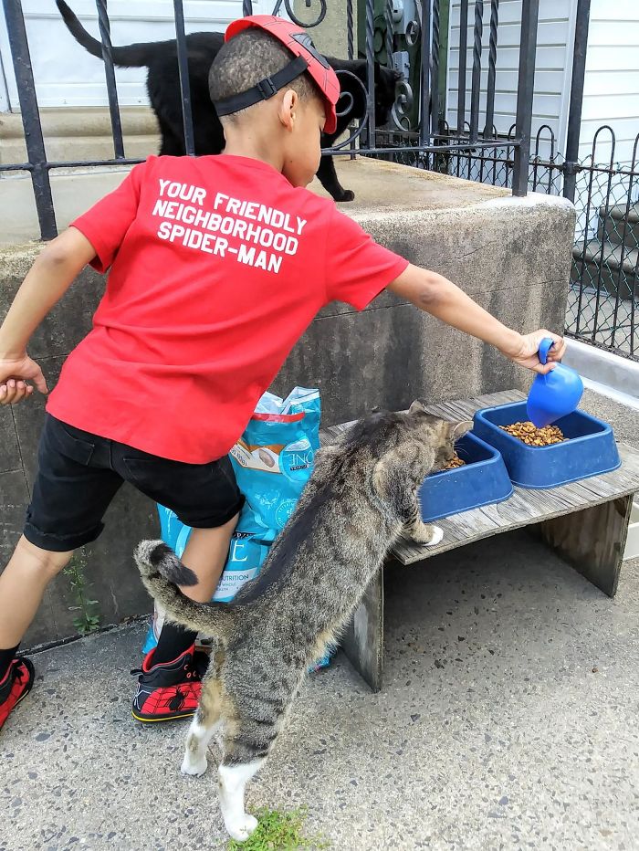 5 Year Old Dresses Up To Help Homeless Cats, Thinks He’s A Superhero To Them
