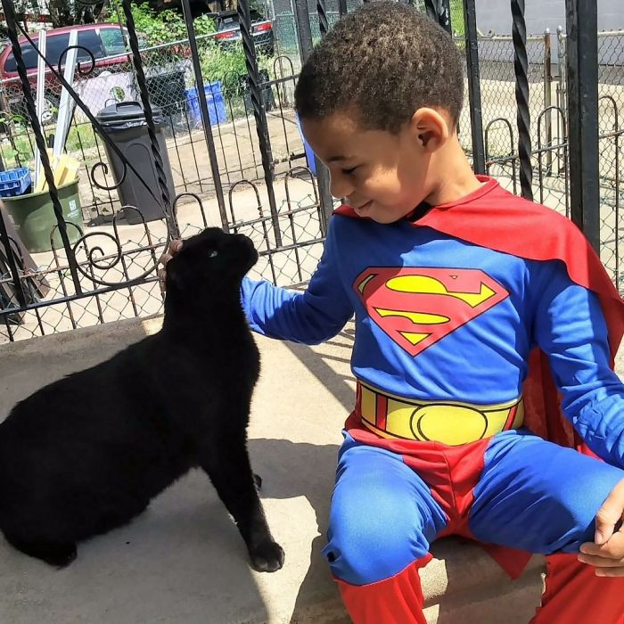 Este niño de 5 años se disfraza para ayudar a gatos sin hogar, porque cree que es un superhéroe para ellos