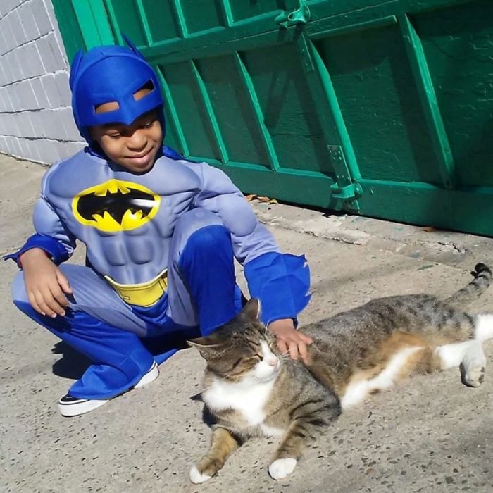 5 Year Old Dresses Up To Help Homeless Cats, Thinks He's A Superhero To Them