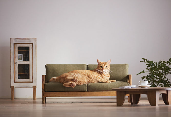 mini-furniture-cats-okawa-kagu-japan-1