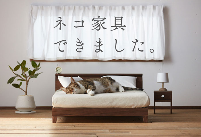 Miniature Cat Furniture From Japan To Please Your Master
