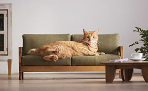 Miniature Cat Furniture From Japan To Please Your Master