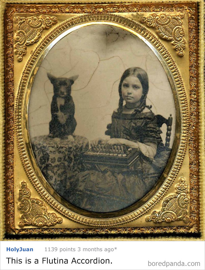 This Little Girl Was Photographed In The 1860's With Her Dog. What Is She Holding In Her Lap?