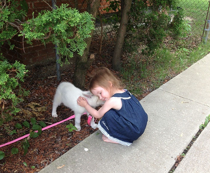 This Was The Most Heart Warming Moment Ever. My Daughter Meeting Her New Puppy