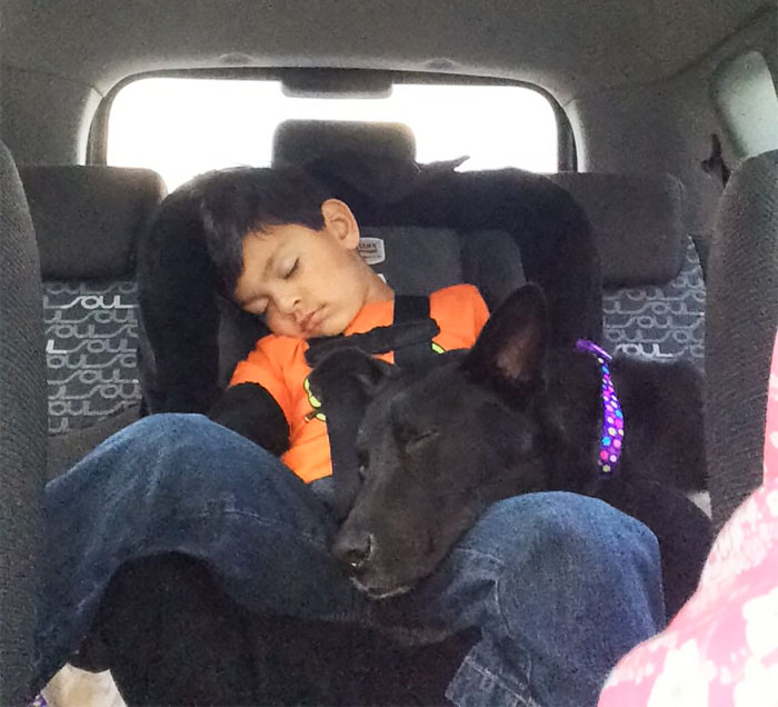 My Son And Our Dog 20 Minutes After We Adopted Her