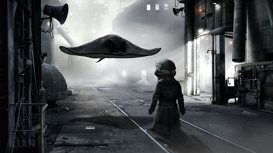 Award-Winning Animation Short "Flutter" Now Online