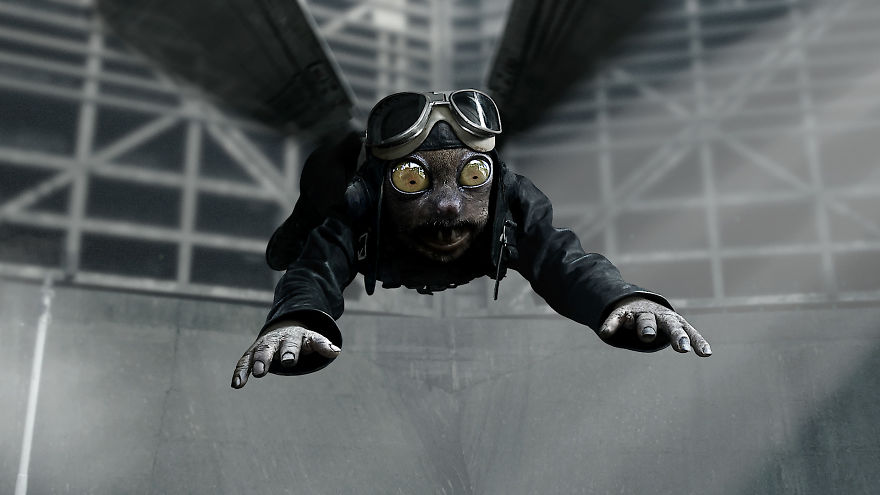 Award-Winning Animation Short "Flutter" Now Online