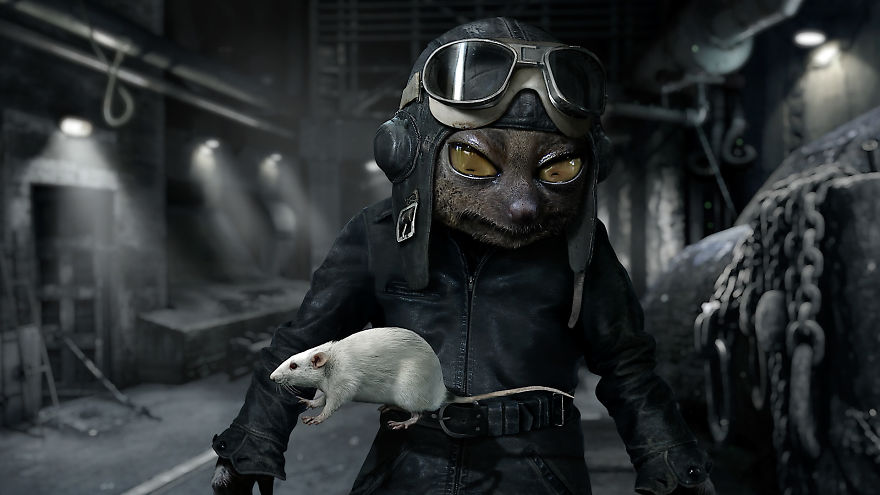 Award-Winning Animation Short "Flutter" Now Online