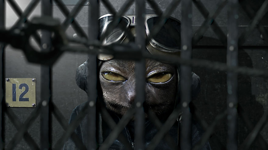 Award-Winning Animation Short "Flutter" Now Online