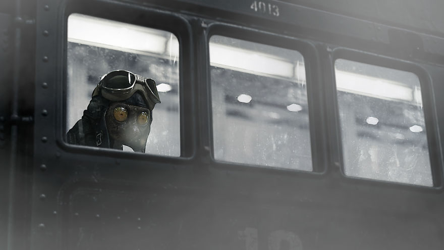Award-Winning Animation Short "Flutter" Now Online
