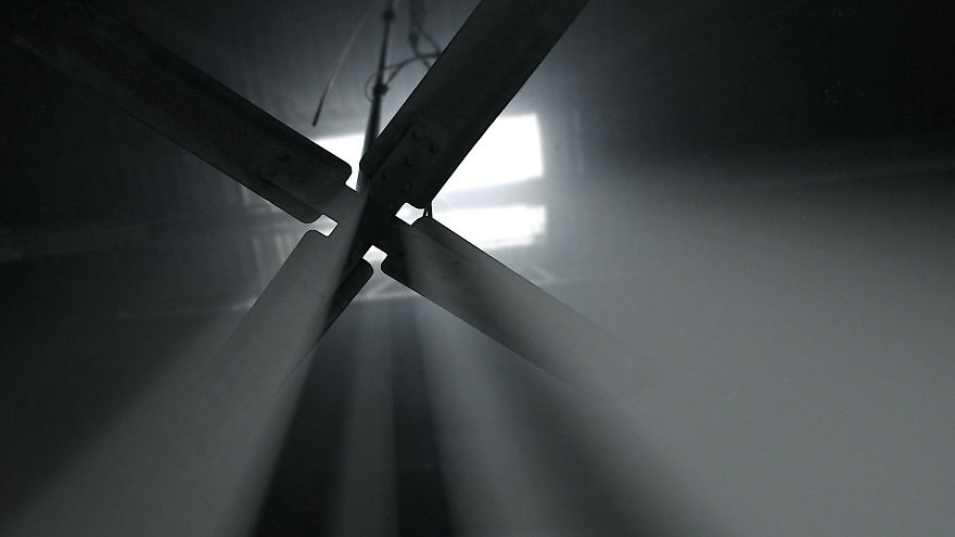 Award-Winning Animation Short "Flutter" Now Online