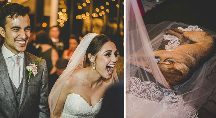 This Couple’s Reaction To A Dog Who Crashed Their Wedding Just Won The Internet