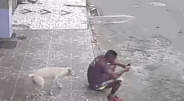 La reacción de este hombre cuando un perro callejero se meó sobre él enfurece a internet, pero todo cambió de forma inesperada