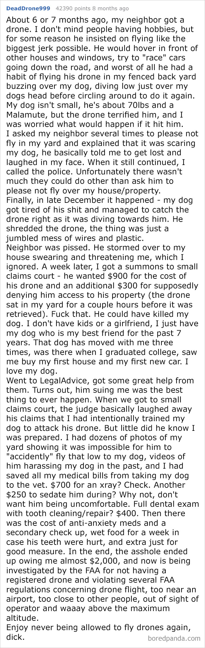 Neighbor Sued Me After Harassing My Dog For Months, Lost Horribly