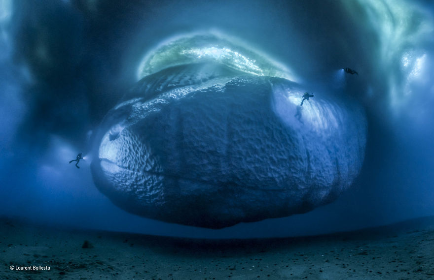 'The Ice Monster' By Laurent Ballesta, France, Earth’s Environments Winner
