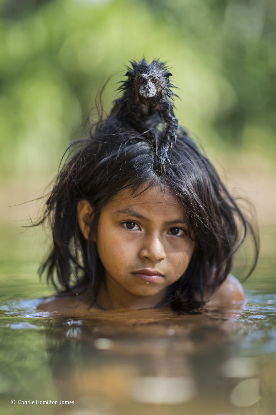 'Children Of The Rainforest' By Charlie Hamilton James, UK, The Wildlife Photojournalist Award: Single Image Finalist