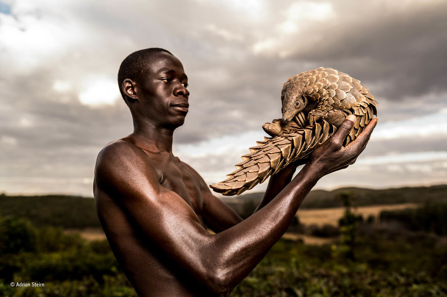 'Saved By Compassion' By Adrian Steirn, Australia, The Wildlife Photojournalist Award: Single Image Finalist