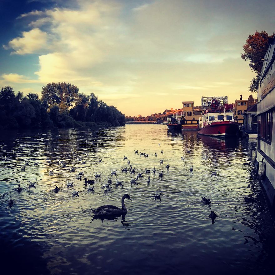 Belgrade From My Phone