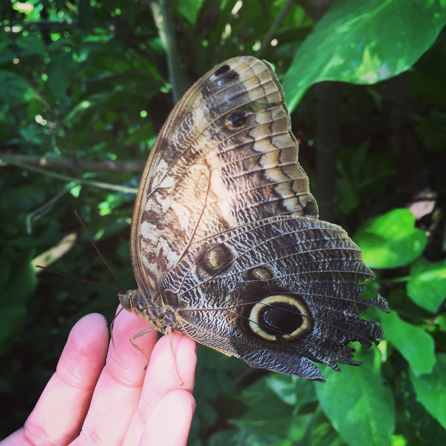 10 Reason Why Colombia Will Make You Happy 10 Reason Why Colombia Will Make You Happy
