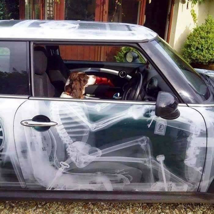 The Most Creative Car Owners Ever!