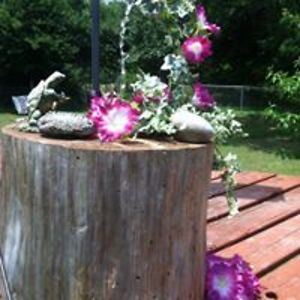 myers_connie1954 avatar