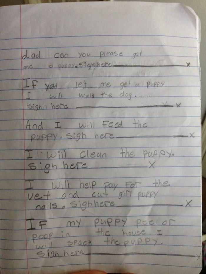 My Friend's Daughter Wants A Puppy. She Just Drew Up This Contract