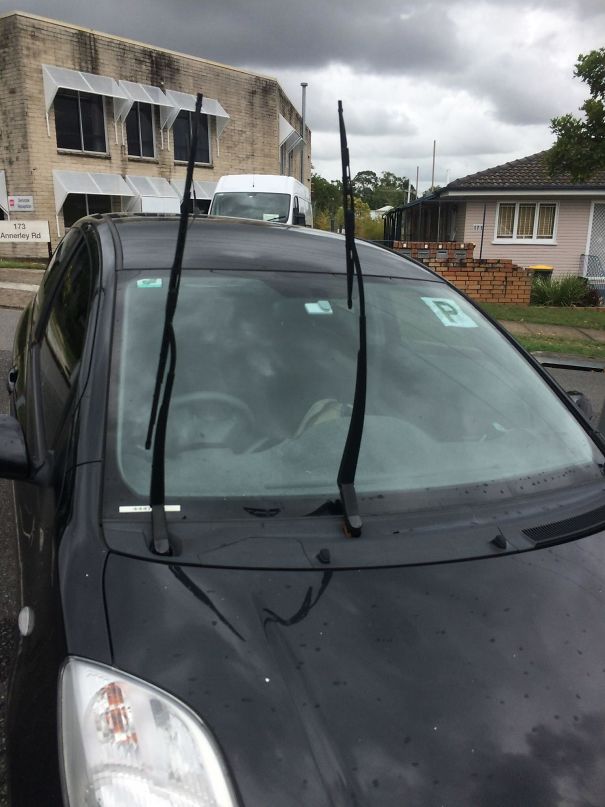 If You Put Your Wipers Up Parking Inspectors Are Unable To Give You A Ticket