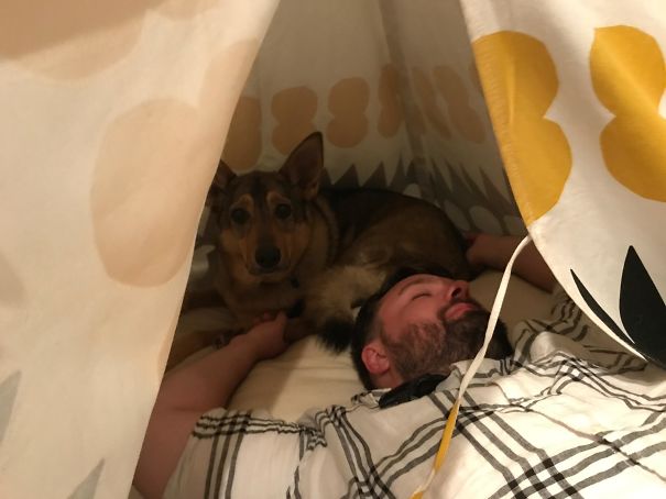 My Dog Wasn't Happy When A Drunk Friend Decided To Sleep With Her At 1 Am