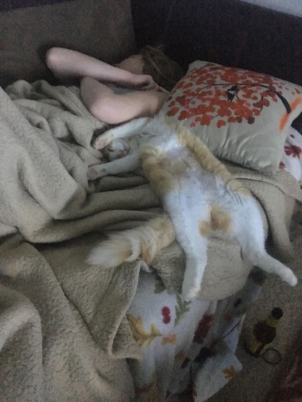Gf Got Drunk And Adopted A Cat... She's Fitting In