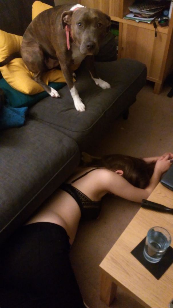 Girlfriend Got Drunk Last Night And The Dog Was Equally Concerned And Unimpressed