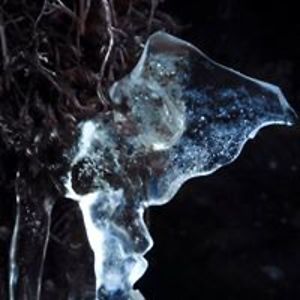 agata_bielawna avatar