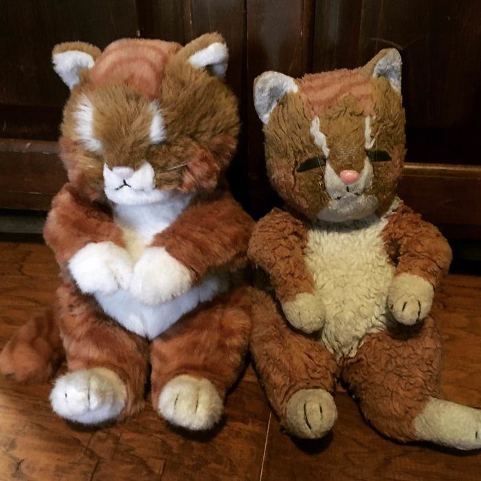 In 1995, My Great-Aunt Gave Me A Stuffed Cat. It Was My Absolute Favorite, And Slept With Me Every Night Through My Childhood. When She Passed, We Found Out She Had Bought An Identical Cat And Kept It In Pristine Condition For Two Decades. The Years Of Love Certainly Left Their Mark.